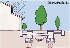 初期雨水收集為什么這么重要？